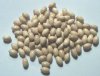 100 9x6mm Natural Oval Wood Beads 